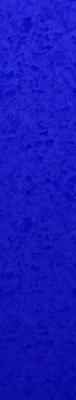 look_feel4_1x2_4397.jpg